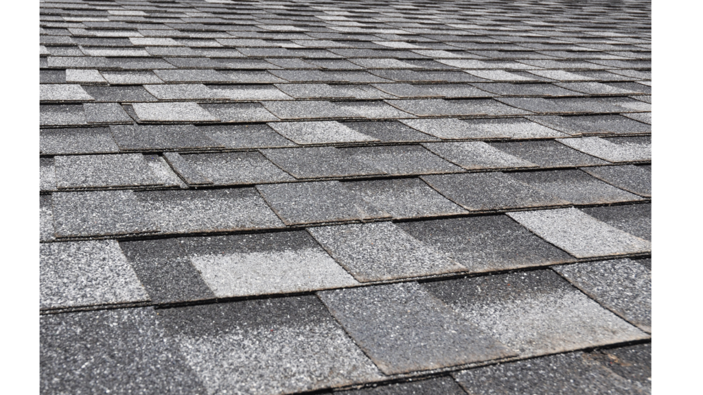 Rooflight vs skylight: what’s the difference?