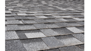 Rooflight vs skylight: what’s the difference?