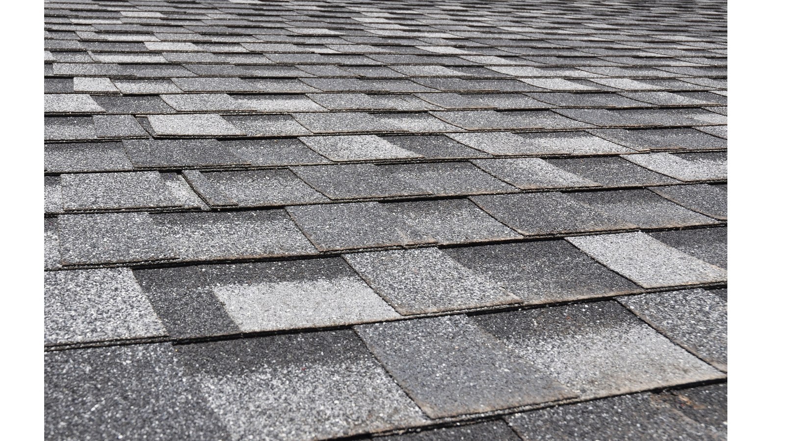 Rooflight vs skylight: what’s the difference?